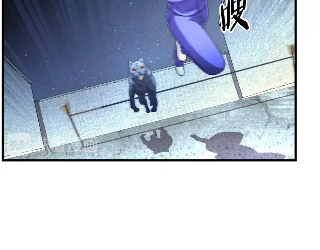 54.jpg