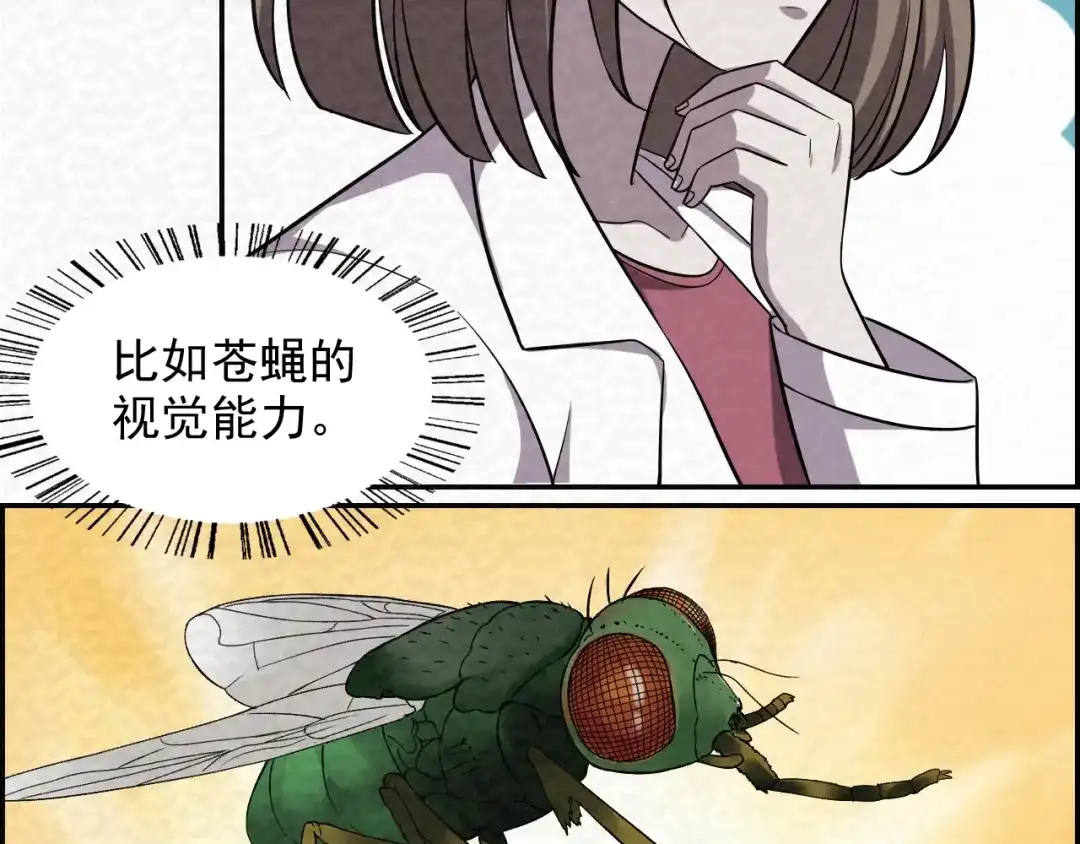 80.jpg