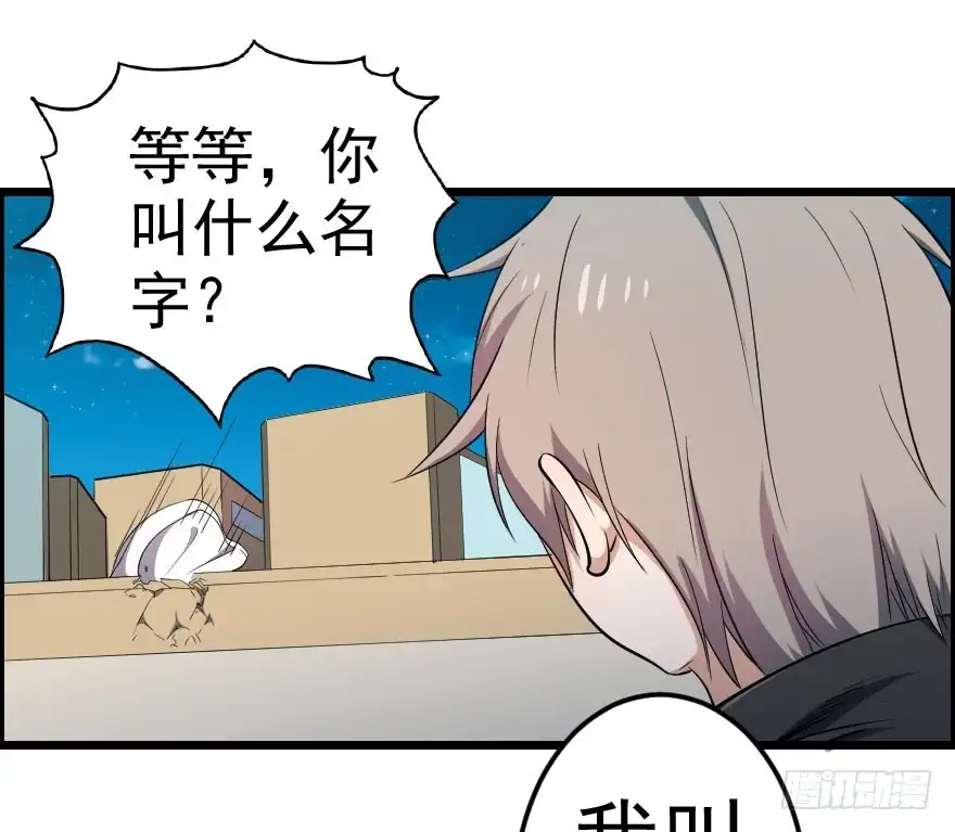 《末世刺客》048她的身份 第37页