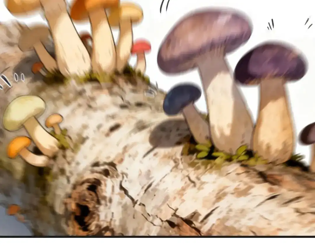 《末世刚无敌提亲堵上门》开party啦！ 第132页
