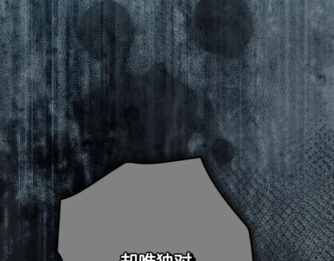294.jpg