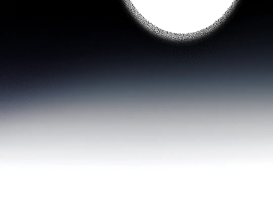 262.jpg