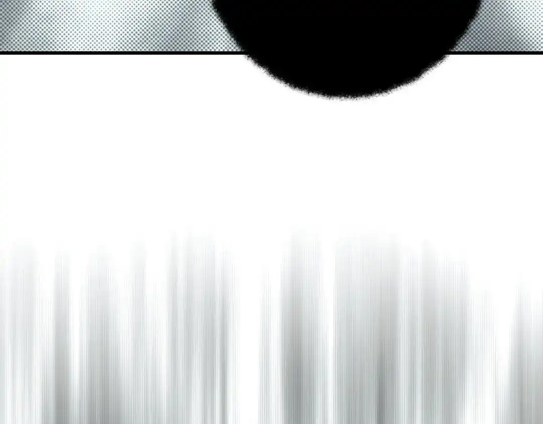 133.jpg