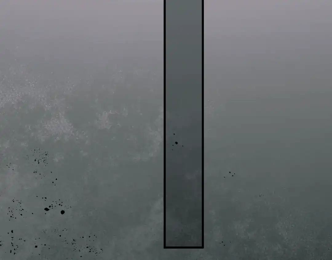 293.jpg