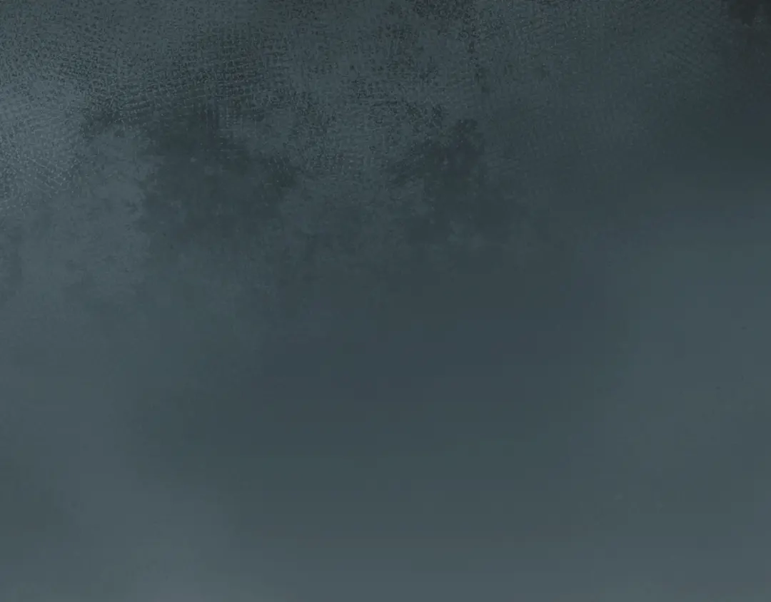 299.jpg