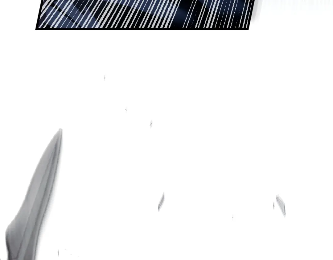 255.jpg