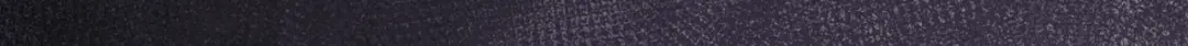 307.jpg