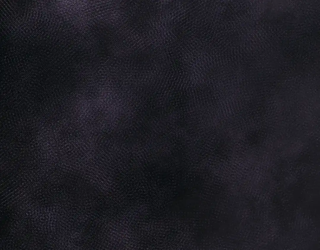304.jpg