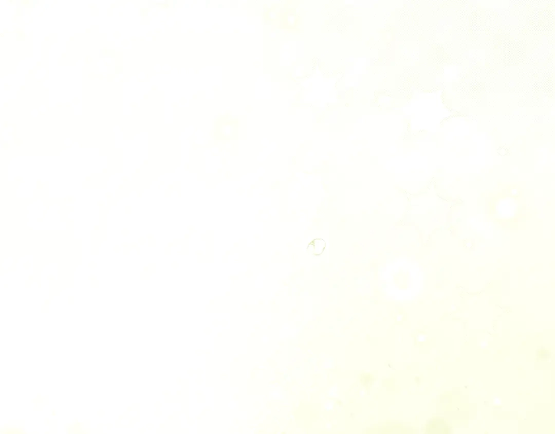 298.jpg