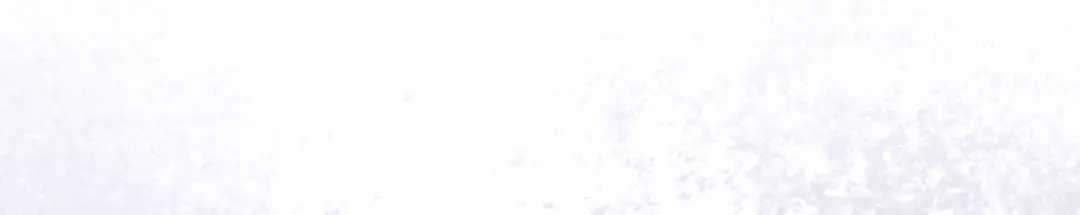 95.jpg
