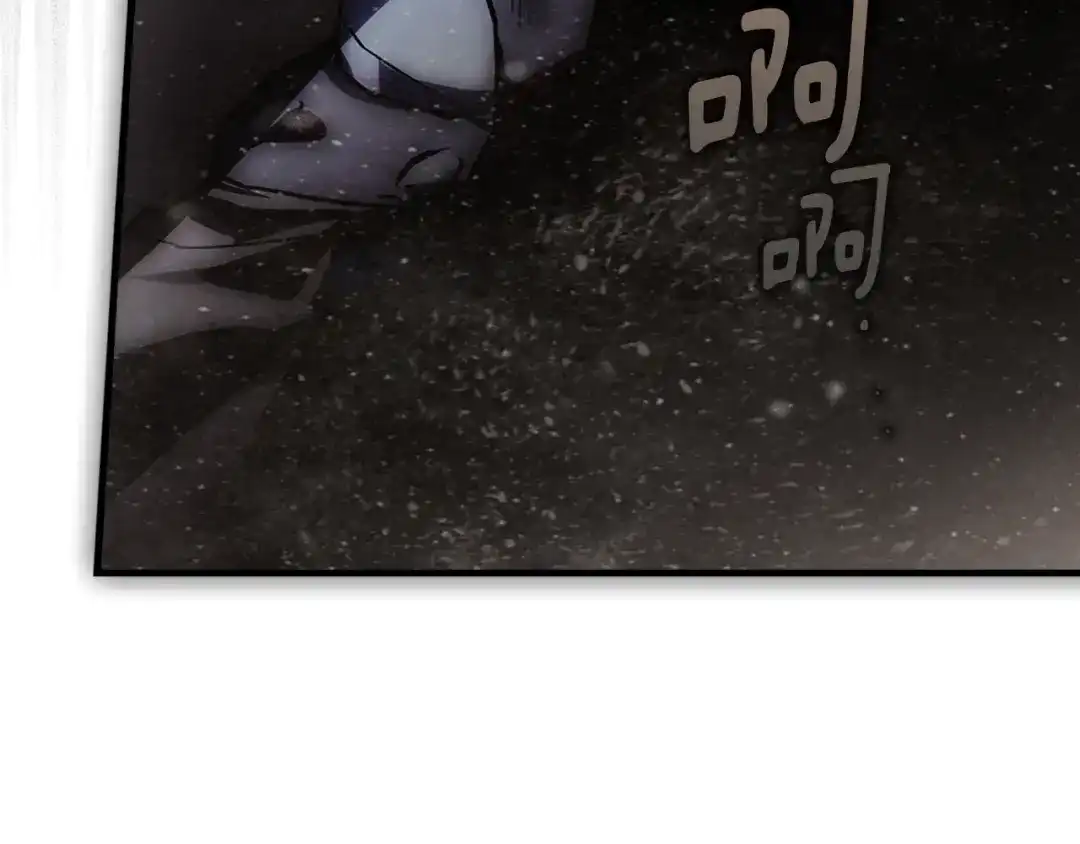 232.jpg