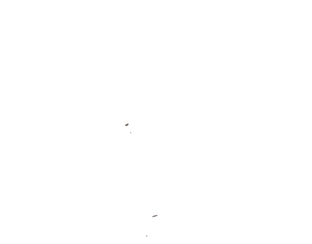 138.jpg