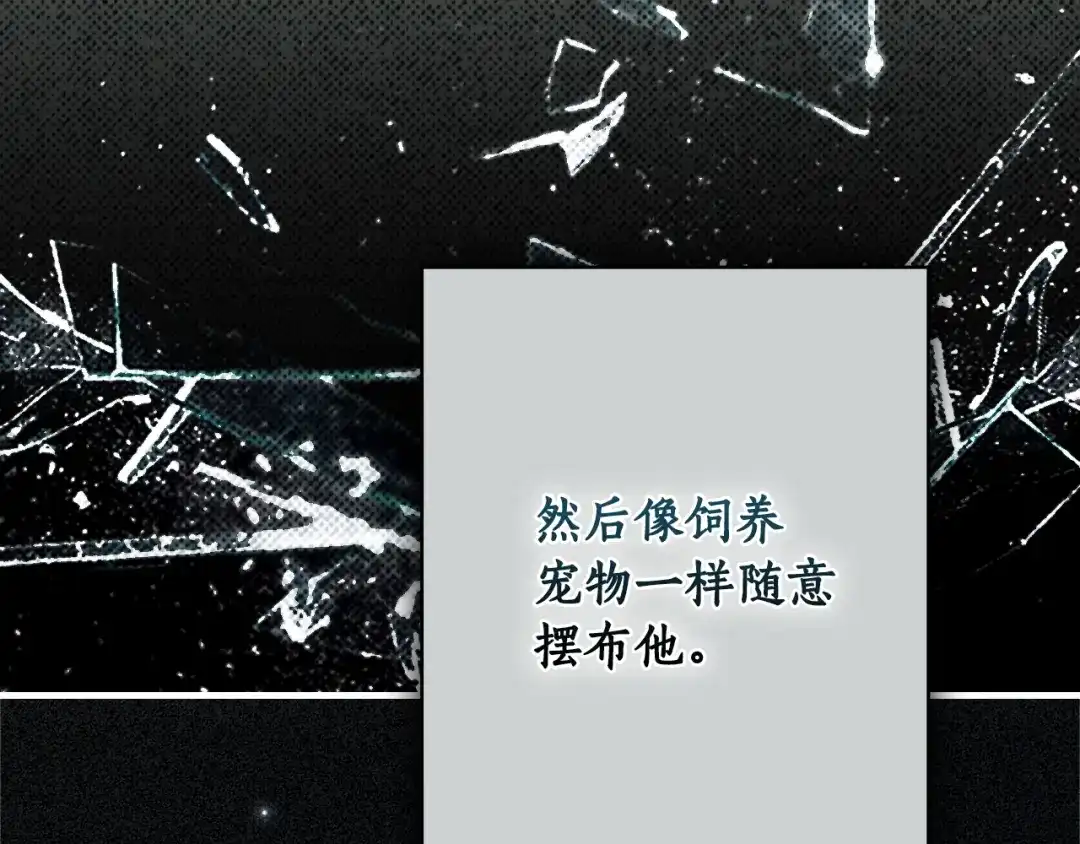 91.jpg