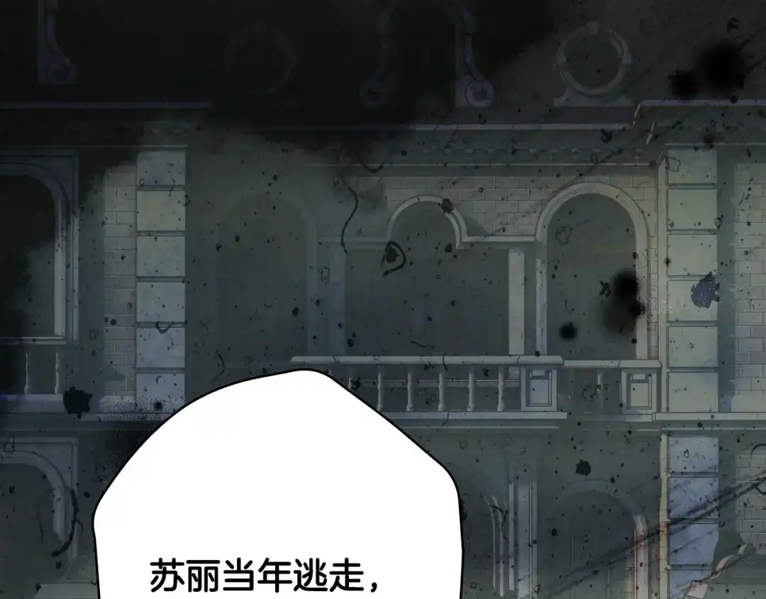 《某个继母的童话》第170话 寻找唯一证人 第48页