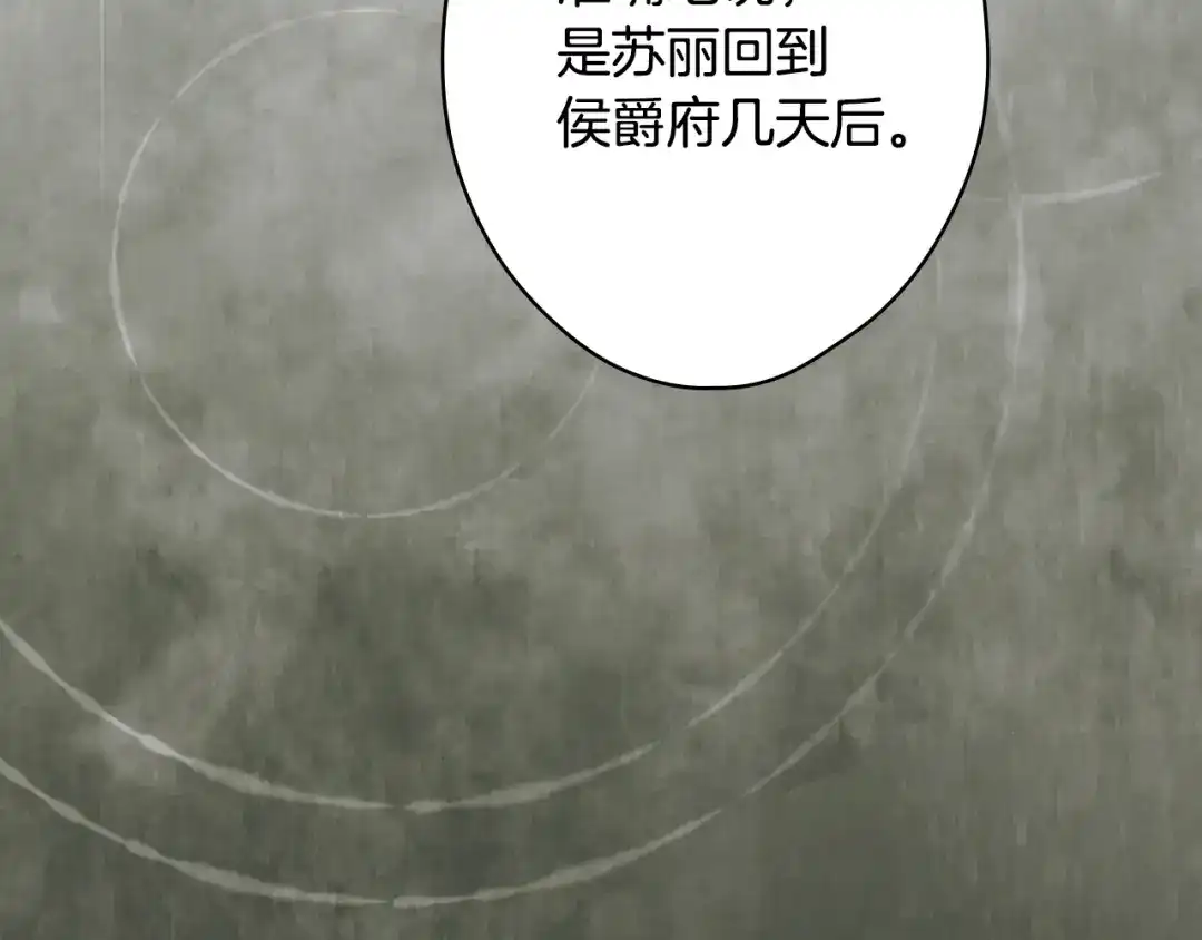 《某个继母的童话》第170话 寻找唯一证人 第111页