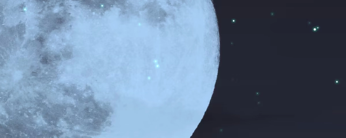 《魔王的轮舞曲》第二十三曲：你不是她 第81页