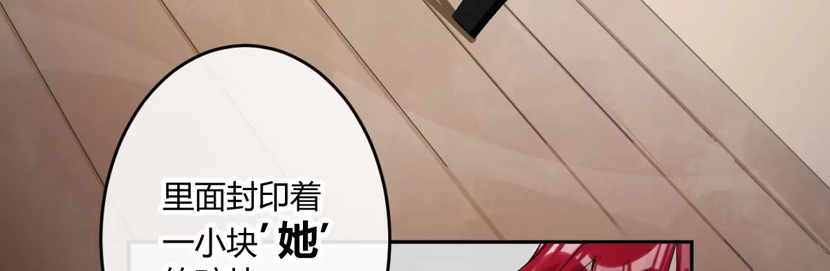 《魔王的轮舞曲》第三十九曲：我等他很久了 第113页
