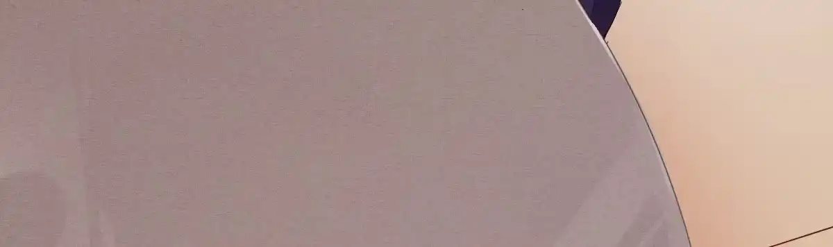 《魔王的轮舞曲》第四十曲：她算什么 第30页
