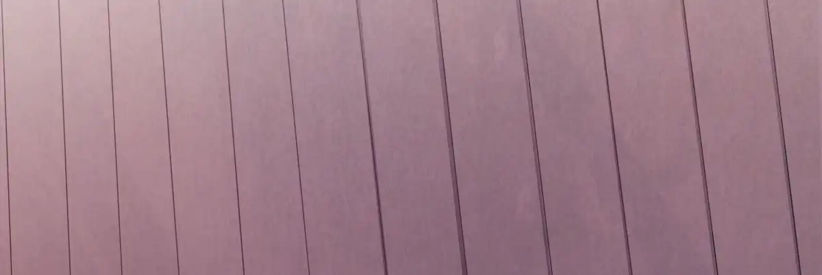 《魔王的轮舞曲》第四十一曲：鸿门宴 第22页
