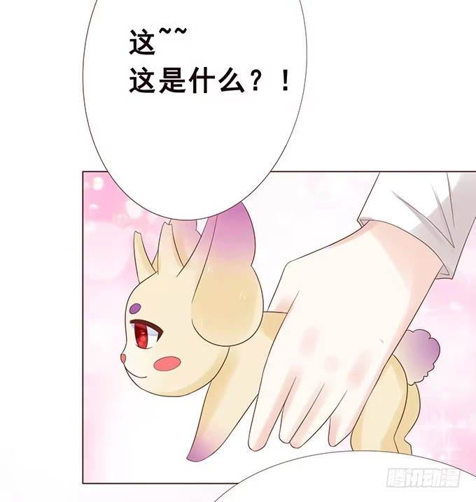 《魔王恋爱指南》樱花树下的相拥 第48页