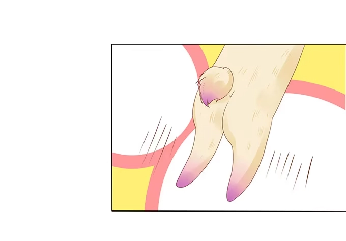 《魔王恋爱指南》失忆的缘由 第5页