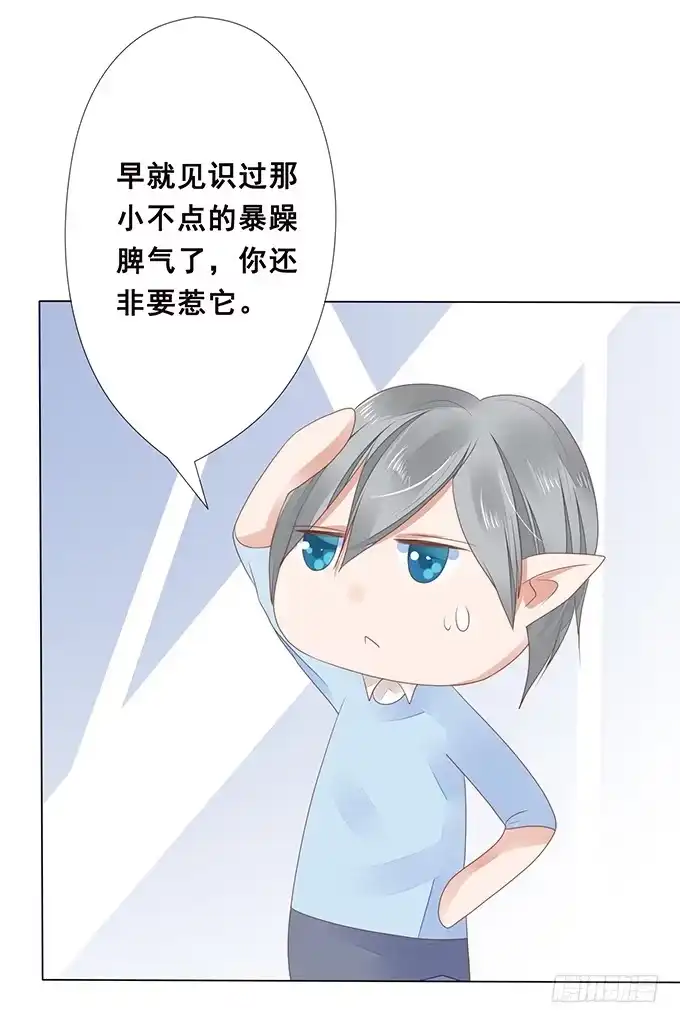 《魔王恋爱指南》失忆的缘由 第13页