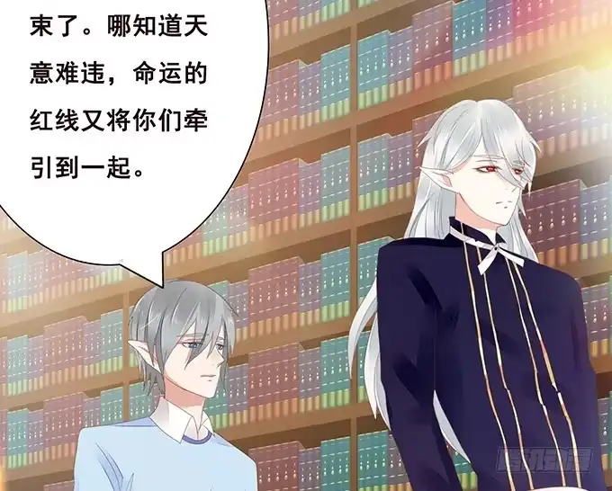 《魔王恋爱指南》失忆的缘由 第45页