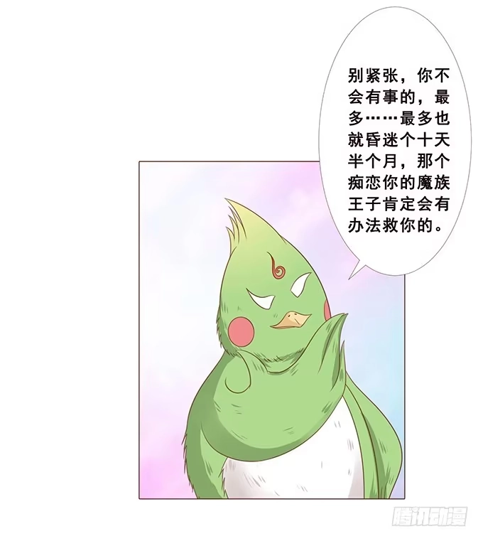 《魔王恋爱指南》唯一的幸运儿 第27页