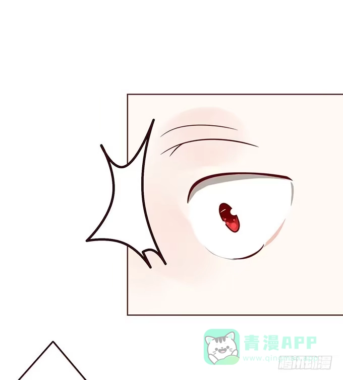 《魔王恋爱指南》非你不可 第41页