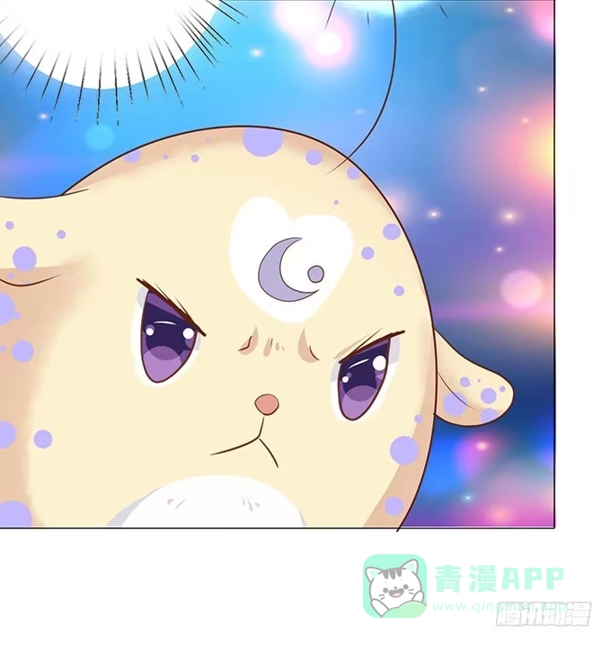 《魔王恋爱指南》贴身保护你 第66页