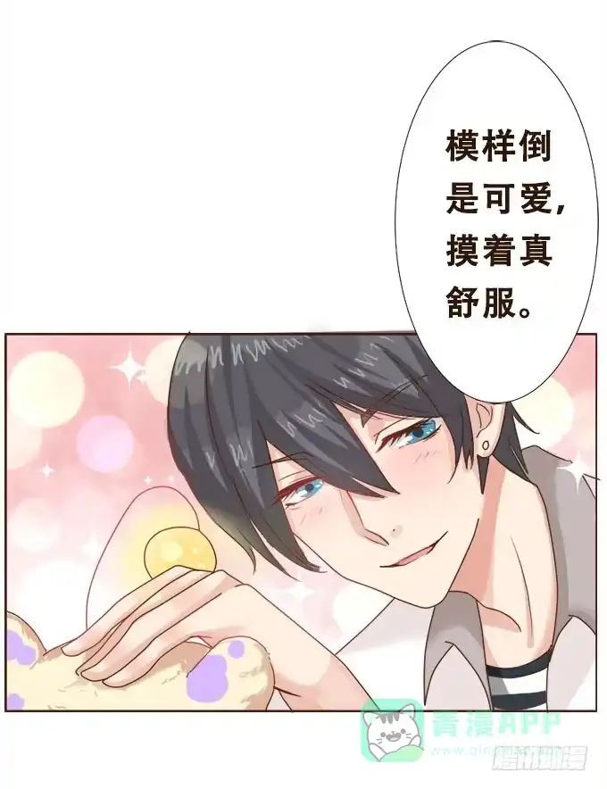 《魔王恋爱指南》甜蜜冤家小萌宠 第16页