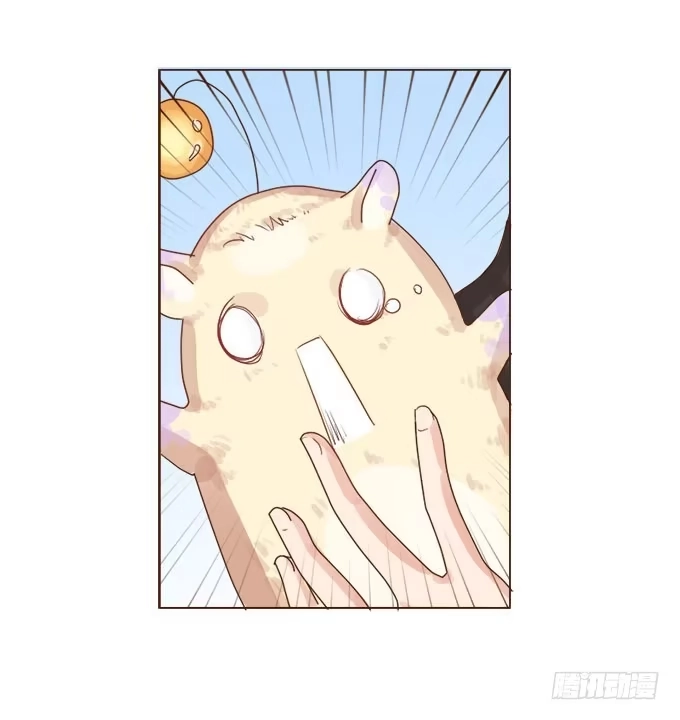 《魔王恋爱指南》甜蜜冤家小萌宠 第23页
