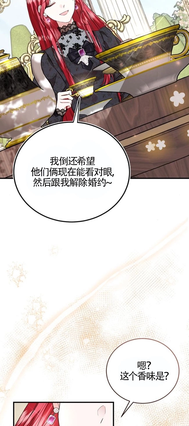 《那个恶女人生我来试试》第27话 第66页