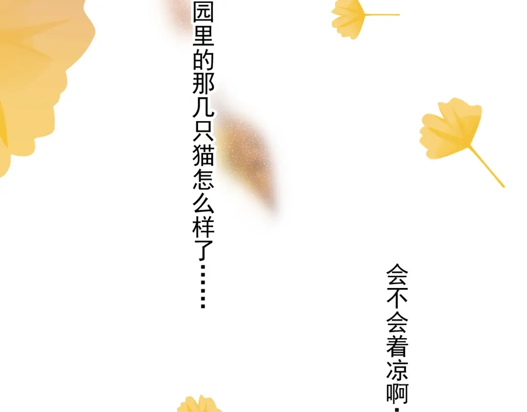 《那个男人让我无法拒绝》第11话 小猫咪和他 第15页