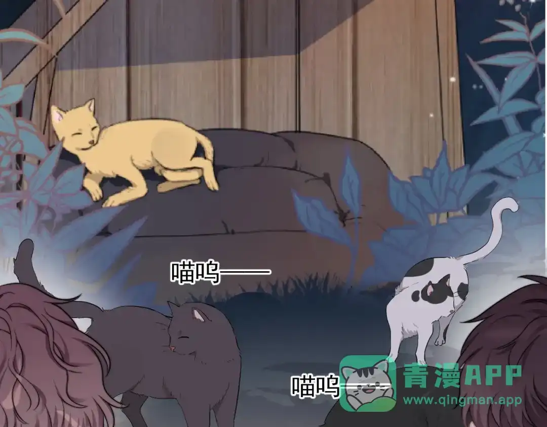 《那个男人让我无法拒绝》第11话 小猫咪和他 第96页