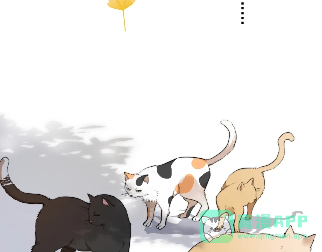 《那个男人让我无法拒绝》第11话 小猫咪和他 第16页