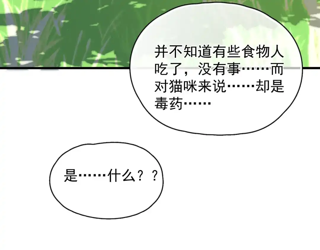《那个男人让我无法拒绝》第19话 偶遇 第65页