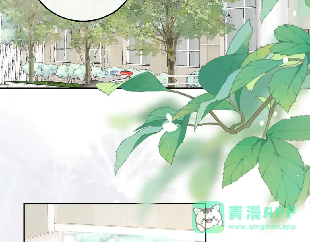 难哄 138 支撑 第6页
