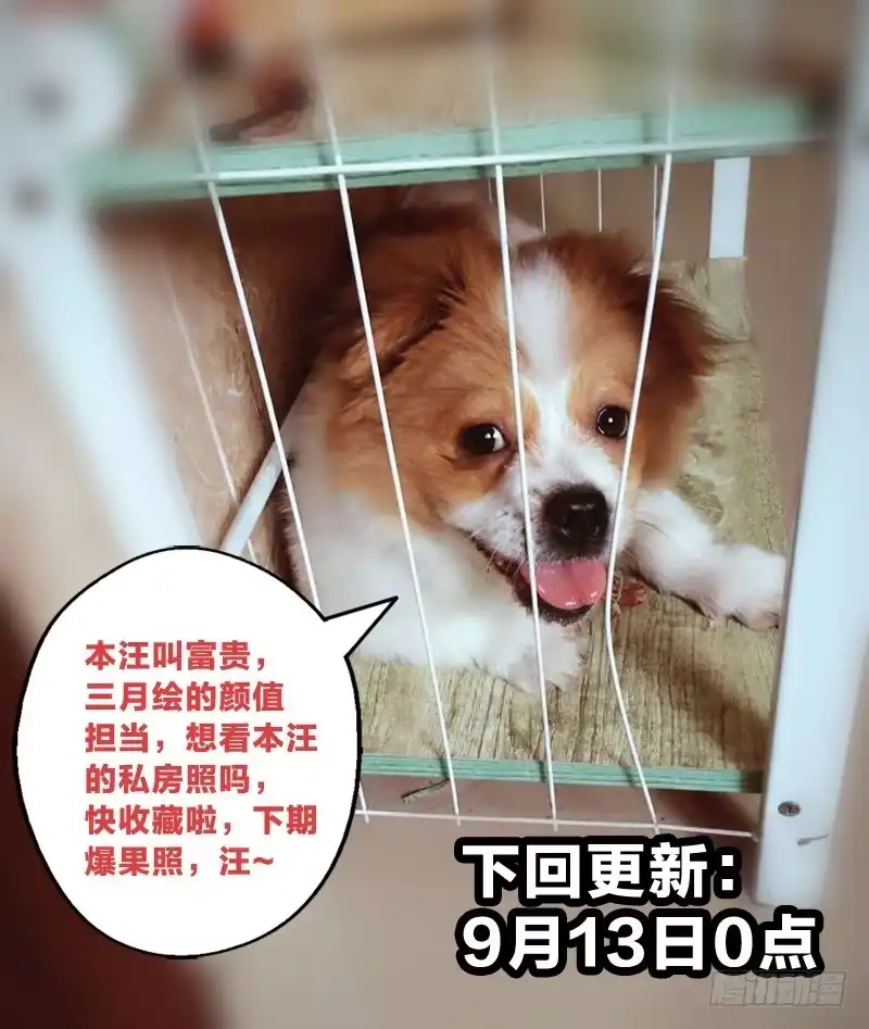 《男仆集中营》11：一炮毁所有 第14页