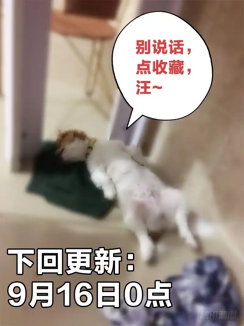 《男仆集中营》12：风景这边独好 第13页