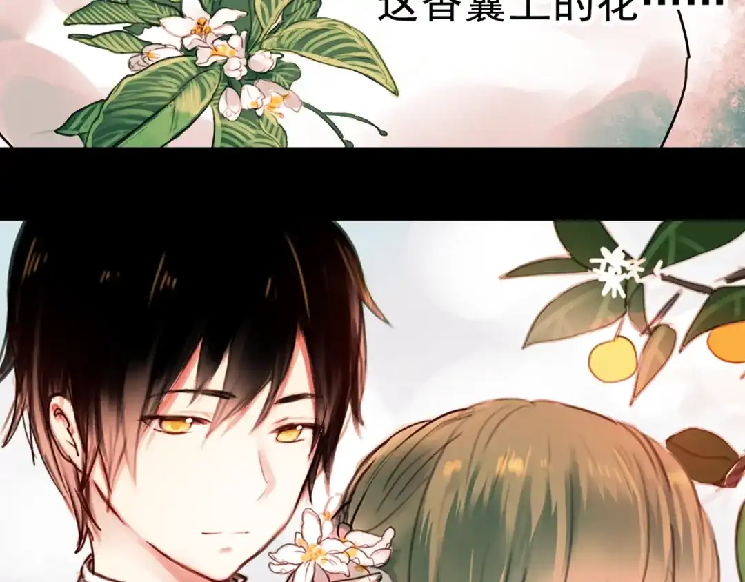 《南烟斋笔录》橘续（上） 第48页