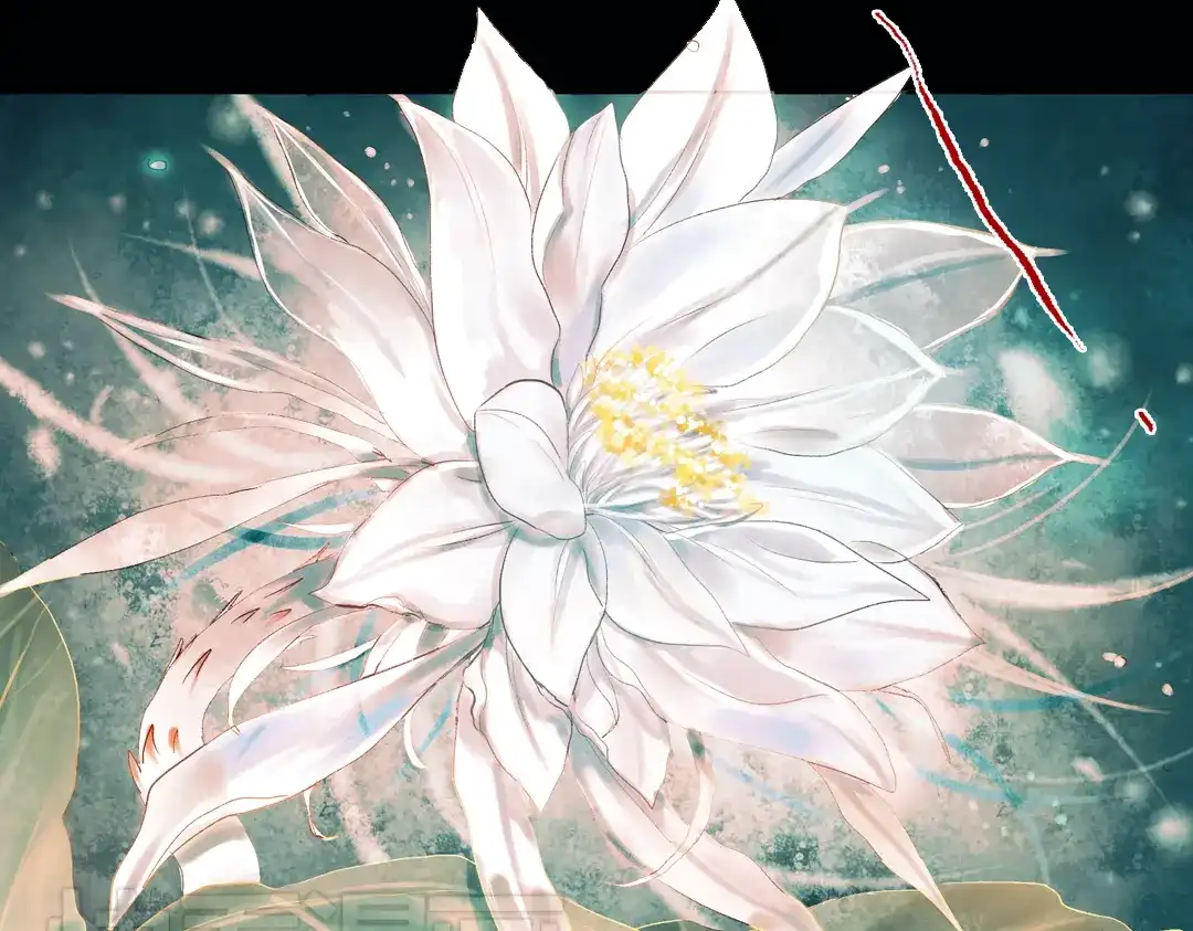 《南烟斋笔录》昙逝（下） 第78页