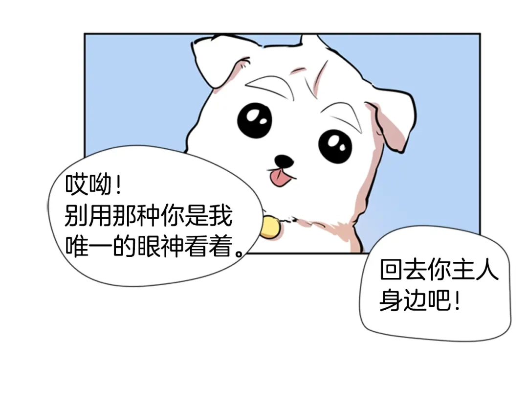 《柠檬味恋人》第34话 到底怎么回事 第34页