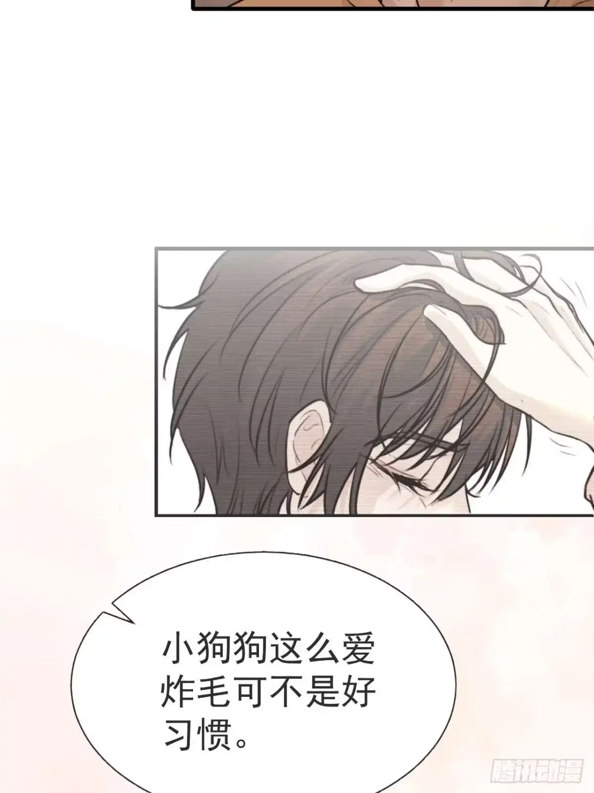 《逆犬难持》我信任他…？这么明显么 第37页