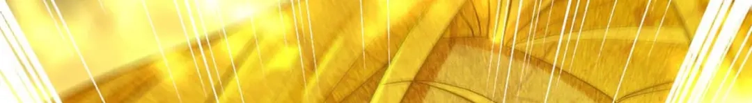 《逆天至尊》 第216话 最后一名 第3页