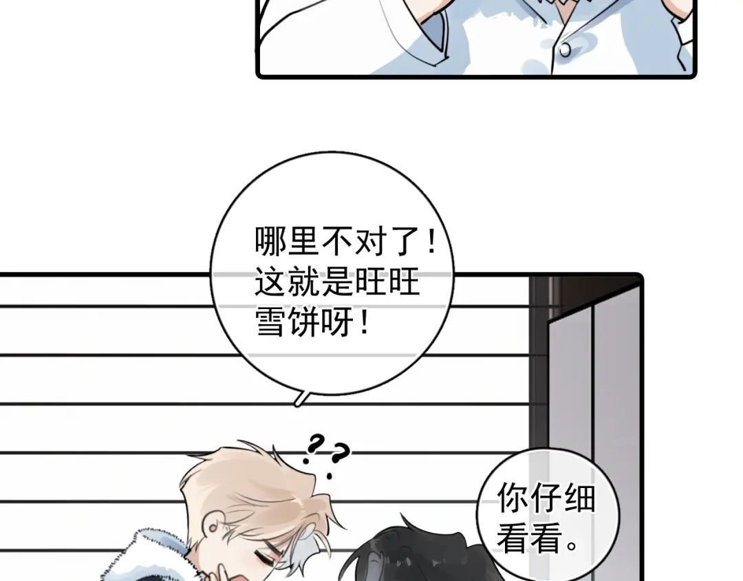 你越界了 番外篇 乖狗狗 第11页