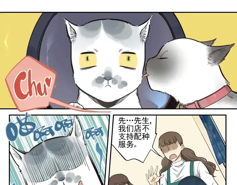 《你与我相遇》第46话 流转的心意 第17页