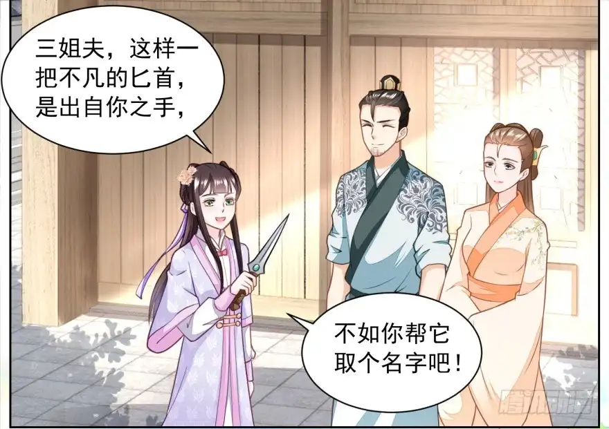 《农女殊色》第167回 匕首金乌 第2页