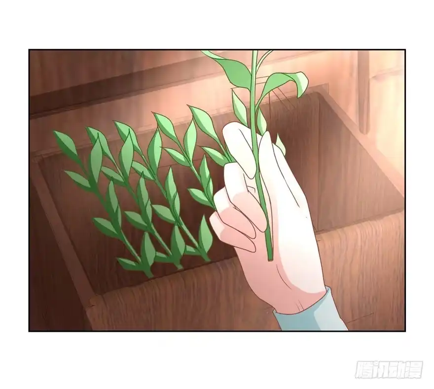 《农女殊色》第170回 继承衣钵 第21页