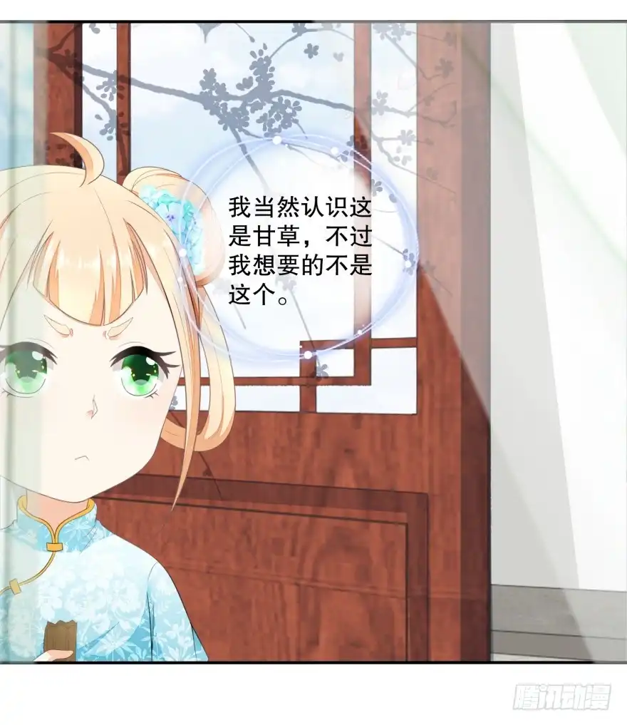 《农女殊色》第35回 许婆婆的药房 第17页